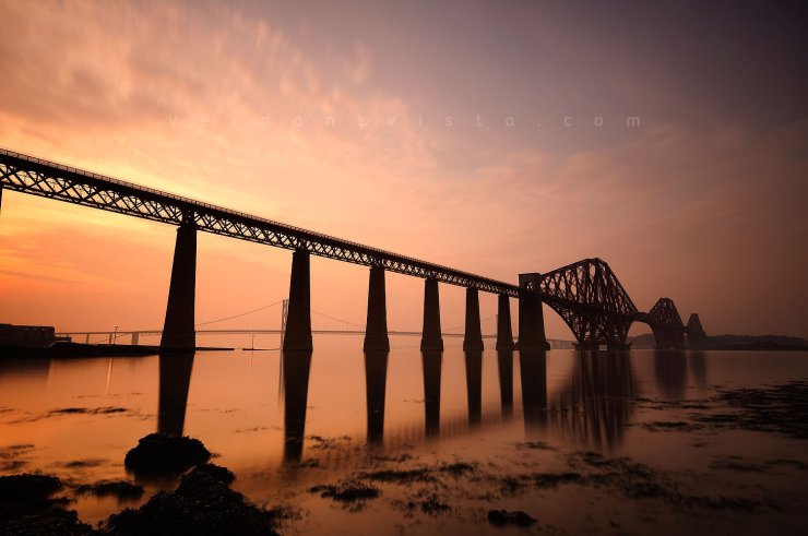 Fishin' For Seagulls 8 Fishin' For Seagulls 8