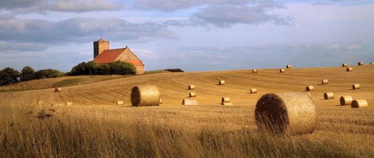 Approaching Harvest Approaching Harvest