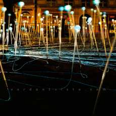 Field Of Light #1