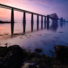 Fishin' For Seagulls 2