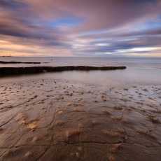Fossil Beach
