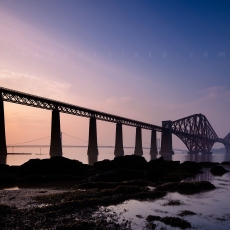 Fishin' For Seagulls 7