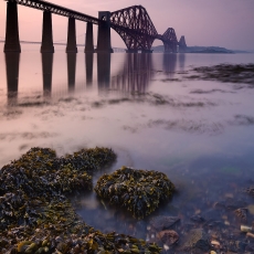 Fishin' For Seagulls 5