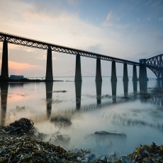 Fishin' For Seagulls 4