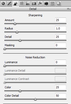 Adobe Camera RAW Detail Tab