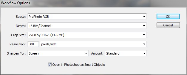 Adobe Camera RAW Workflow Options